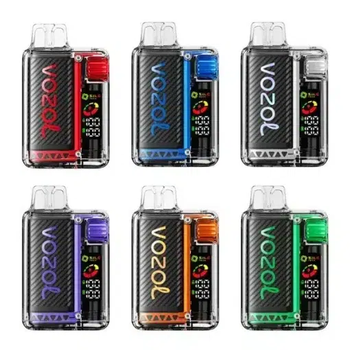 Vozol Vista 20000 Vape Rechargeable
